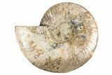 Cut & Polished Ammonite Fossil (Half) - Deep Crystal Pockets #323425-1